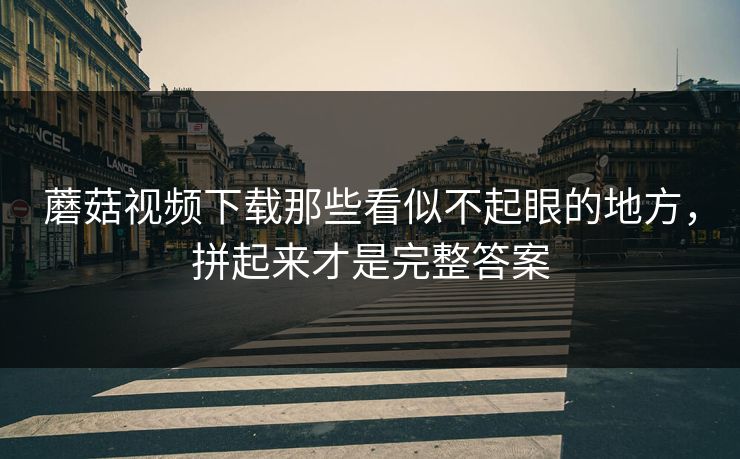 蘑菇视频下载那些看似不起眼的地方,拼起来才是完整答案 第1张 蘑菇视频下载那些看似不起眼的地方,拼起来才是完整答案 第1张