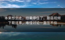 本来想划走，结果停住了，蘑菇视频下载这事，难怪讨论一直压不住