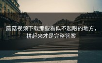 蘑菇视频下载那些看似不起眼的地方，拼起来才是完整答案