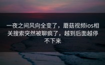 一夜之间风向全变了，蘑菇视频ios相关搜索突然被聊疯了，越到后面越停不下来