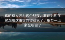 真的有人因为这个熬夜，蘑菇影视在线观看这事突然被聊疯了，细节一出来全明白了