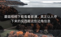 蘑菇视频下载看着普通，真正让人停下来的反而是这些边角信息