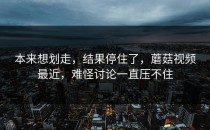 本来想划走，结果停住了，蘑菇视频最近，难怪讨论一直压不住