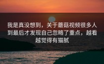 我是真没想到，关于蘑菇视频很多人到最后才发现自己忽略了重点，越看越觉得有猫腻