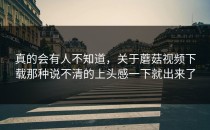 真的会有人不知道，关于蘑菇视频下载那种说不清的上头感一下就出来了