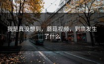 我是真没想到，蘑菇视频，到底发生了什么