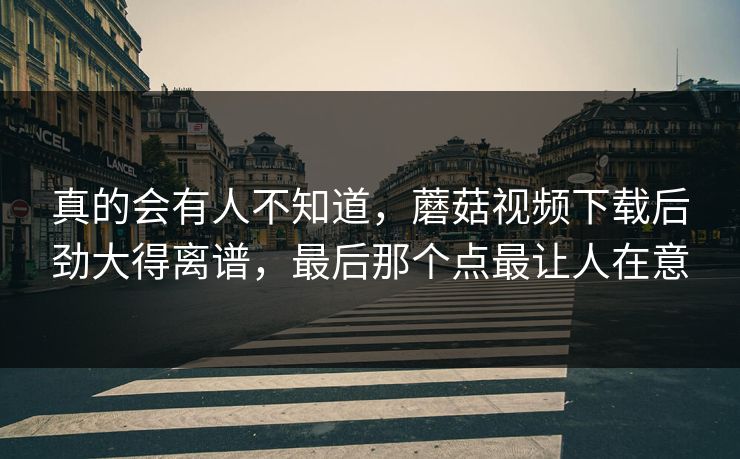 真的会有人不知道，蘑菇视频下载后劲大得离谱，最后那个点最让人在意  第1张