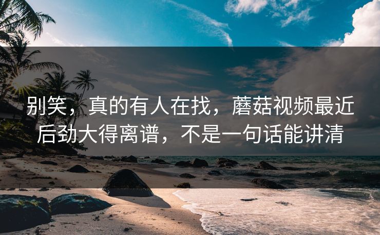 别笑，真的有人在找，蘑菇视频最近后劲大得离谱，不是一句话能讲清  第1张