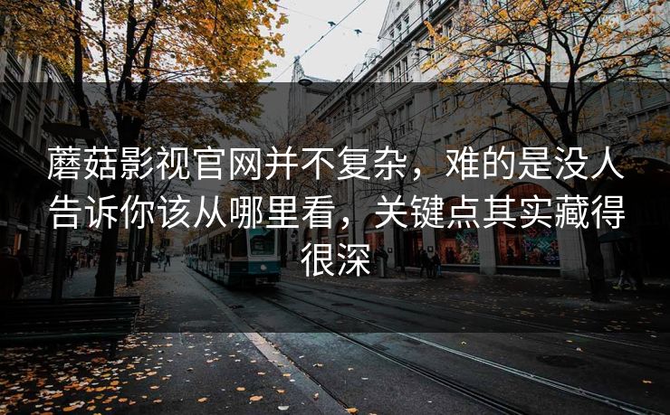 蘑菇影视官网并不复杂，难的是没人告诉你该从哪里看，关键点其实藏得很深  第1张