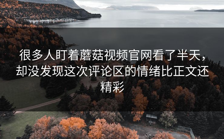 很多人盯着蘑菇视频官网看了半天,却没发现这次评论区的情绪比正文还精彩 第1张 很多人盯着蘑菇视频官网看了半天,却没发现这次评论区的情绪比正文还精彩 第1张